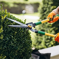 Manutenção em Jardins